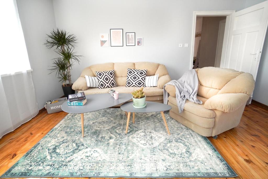 Mid-Century Modern Family House