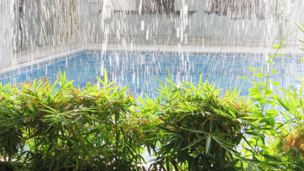 a water fountain over a pool with some plants at Mirador de San Jorge in Girardot