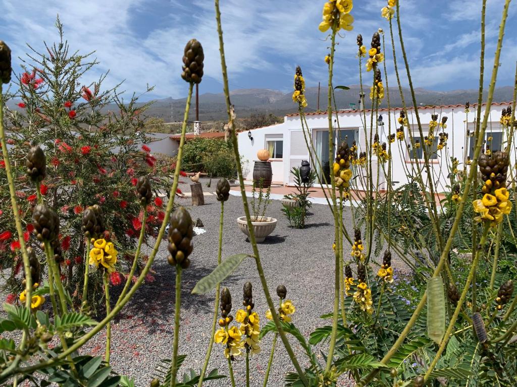 un jardín con muchas flores y un edificio blanco en La Era Casa Rural en La Cisnera