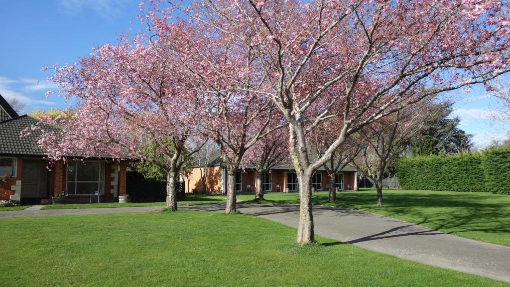 Northwood Motor Lodge - Resim 21