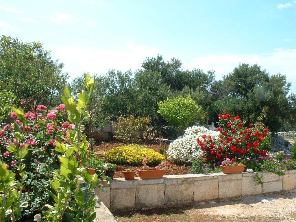 un giardino con molti fiori diversi in vasi di Apartment Šimi - free parking a Supetar (San Pietro di Brazza)