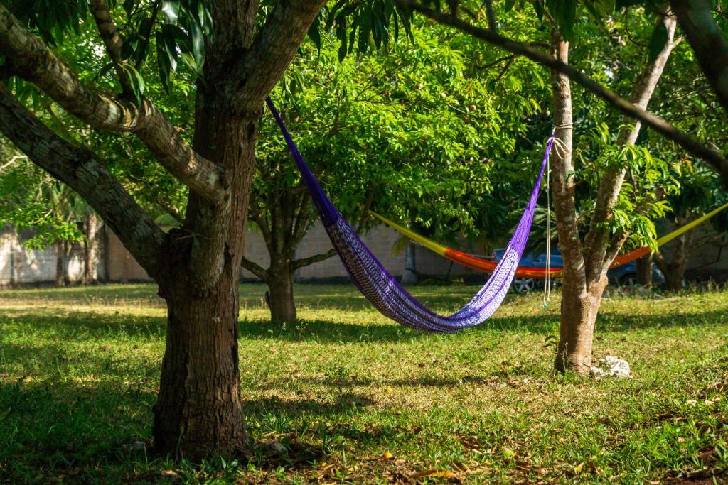 Finca Tuch