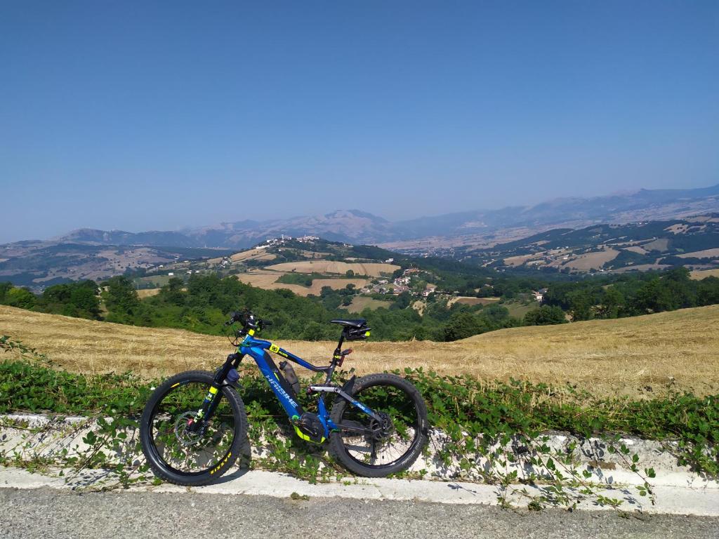 Jízda na kole v ubytování All inBasilicata Bed & Breakfast nebo okolí