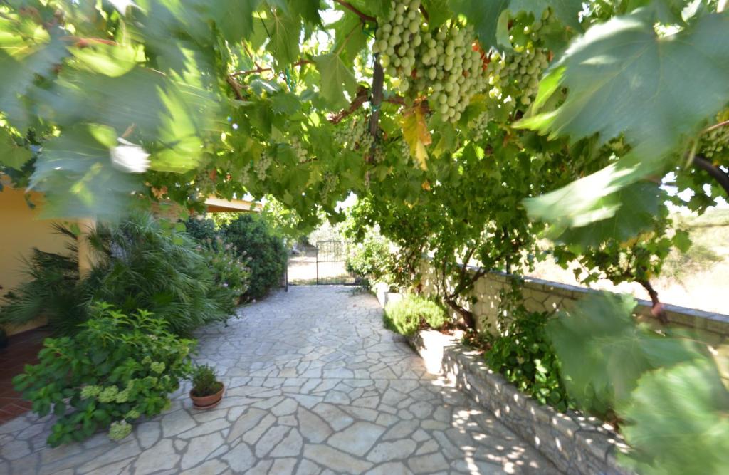Zahrada ubytování Apartman Marija