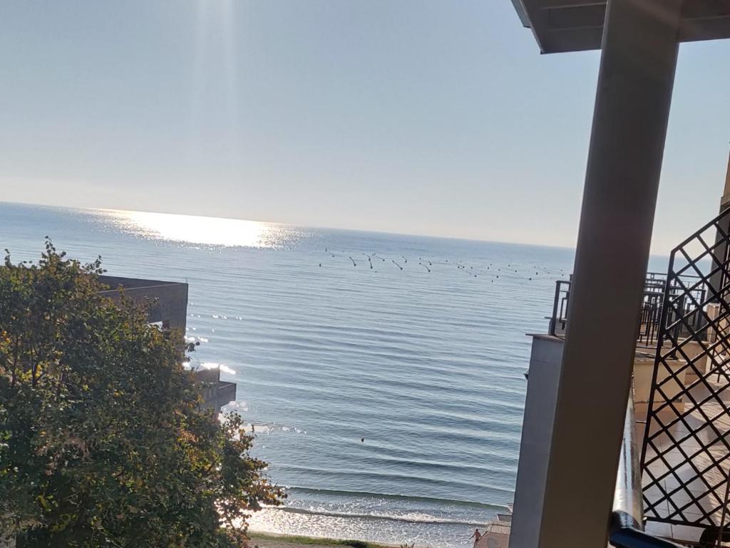 a flock of birds flying over the water at Ravda on the Beach in Ravda