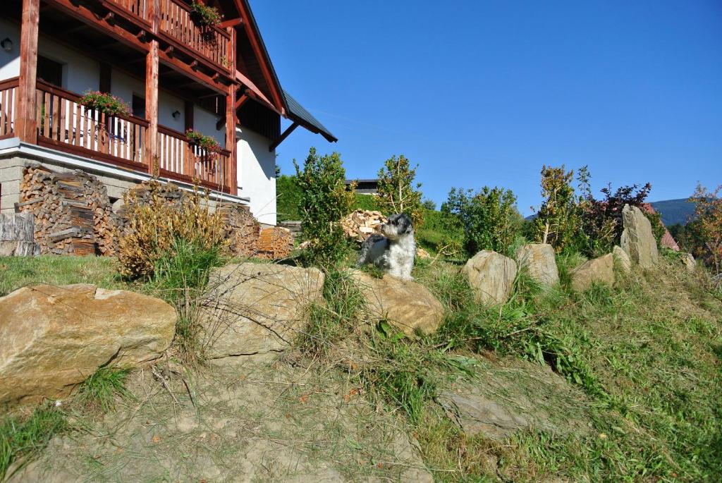 Příroda nedaleko apartmánu