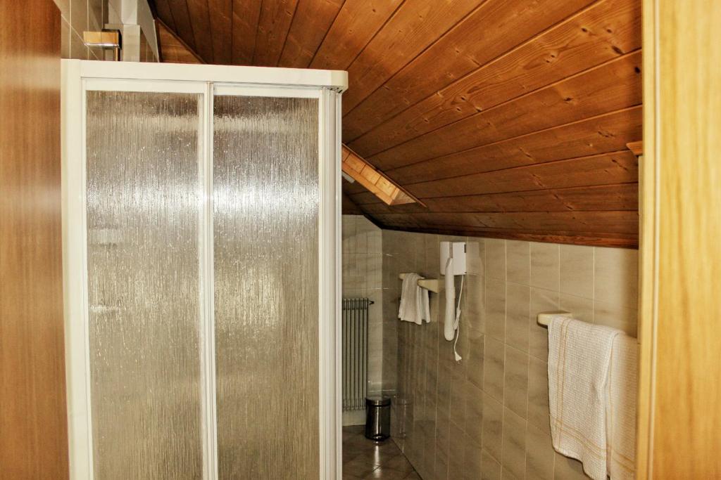 W łazience z drewnianym sufitem znajduje się prysznic. w obiekcie Albergo Hofer w mieście Bolzano