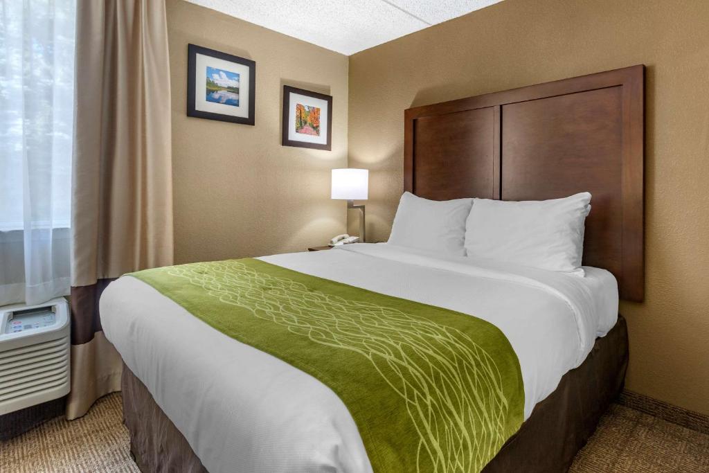 Postel nebo postele na pokoji v ubytování Comfort Inn Edison - New Brunswick
