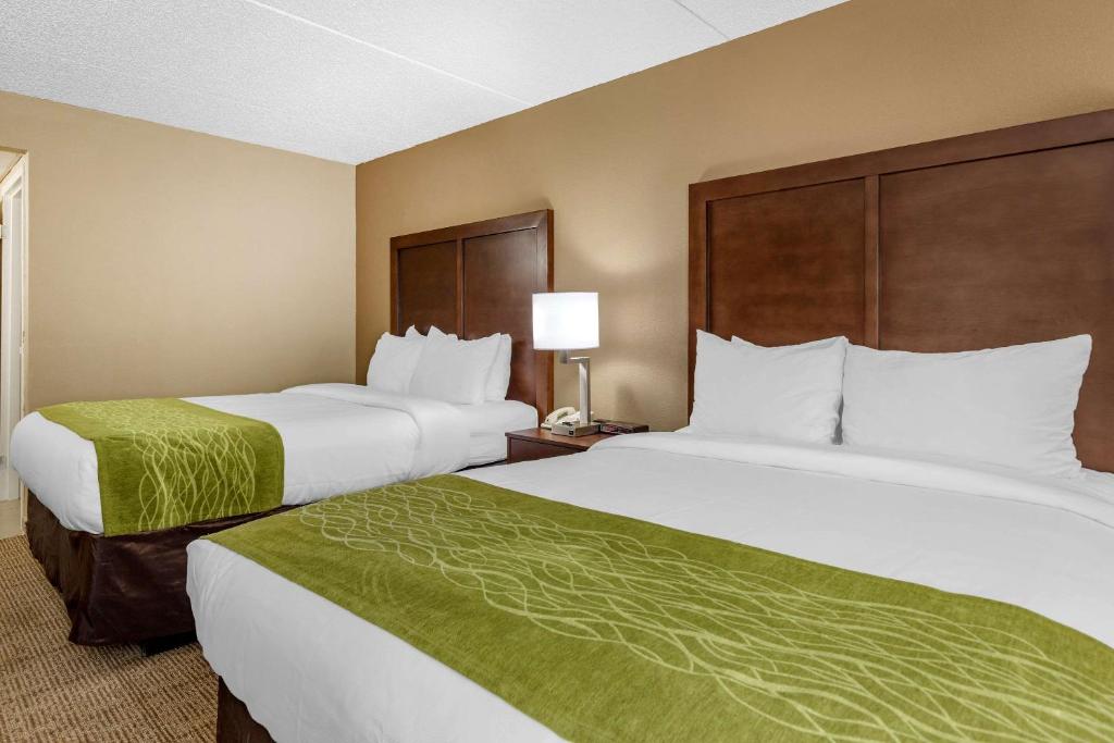 Postel nebo postele na pokoji v ubytování Comfort Inn Edison - New Brunswick