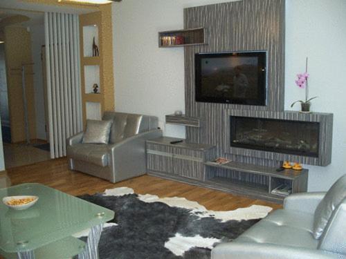 sala de estar con sofá y TV en Apartament Stara Polana i Spa, en Zakopane