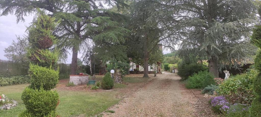 un chemin de terre dans un jardin planté d'arbres et de buissons dans l'établissement Le gîte de Poulas, à Couffy