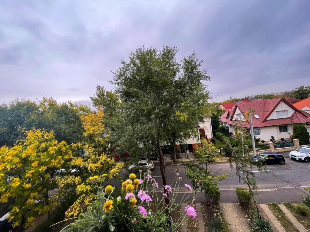 widok na ogród z kwiatami i parking w obiekcie Greatforest Rosehill 1 Apartman w Debreczynie