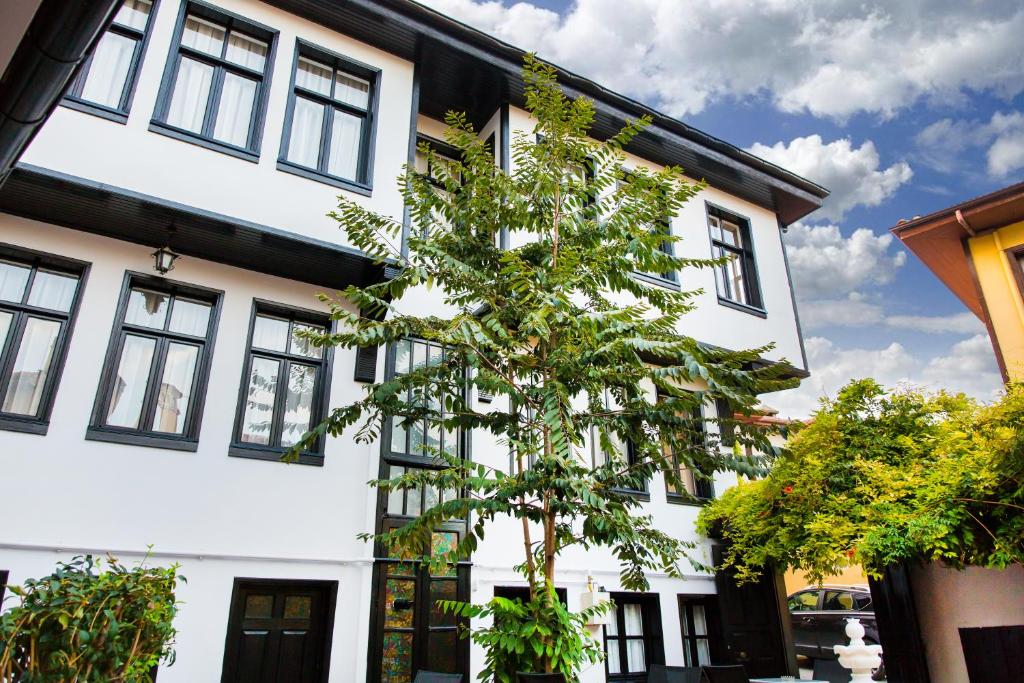 a tree in front of a white building at Avlu Tophane in Bursa