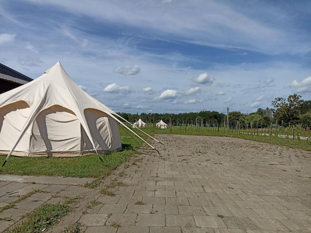 Fotografie z fotogalerie ubytování Natuur-like Glamping in Bosland v destinaci Neerpelt