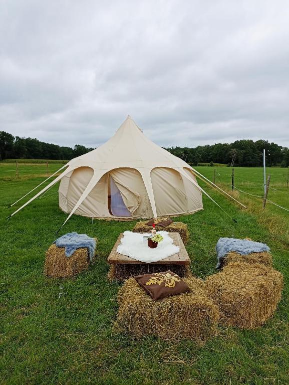 Fotografie z fotogalerie ubytování Natuur-like Glamping in Bosland v destinaci Neerpelt