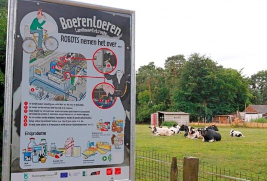 Fotografie z fotogalerie ubytování Natuur-like Glamping in Bosland v destinaci Neerpelt