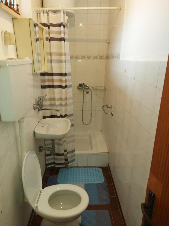 ein Bad mit einem WC, einem Waschbecken und einer Dusche in der Unterkunft Stan na dan -Uzun Mirkova in Valjevo
