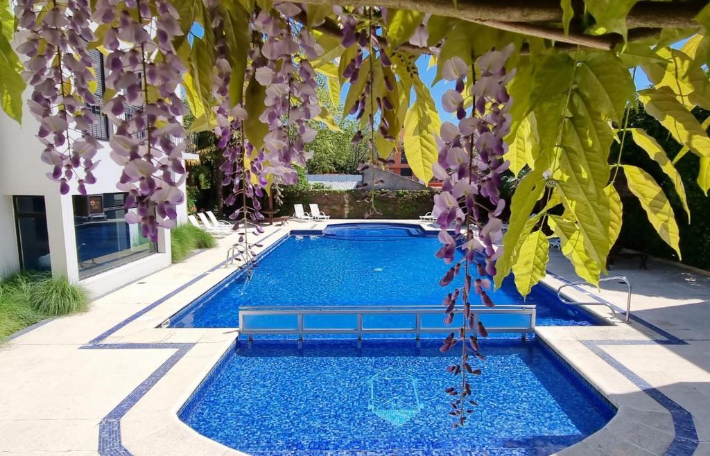 a swimming pool under a tree with purple flowers at Hotel Italiano in Colonia del Sacramento