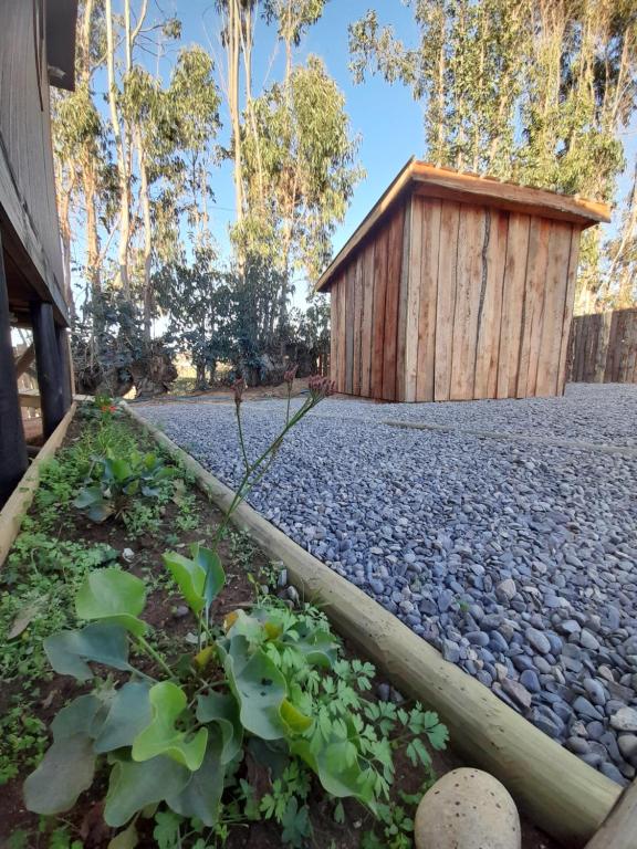 Aed väljaspool majutusasutust 7 Olas lodge
