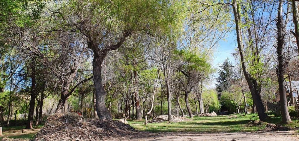 a dirt road through a forest with trees at Casa en El Manzano Histórico, Valle de Uco in Tunuyán