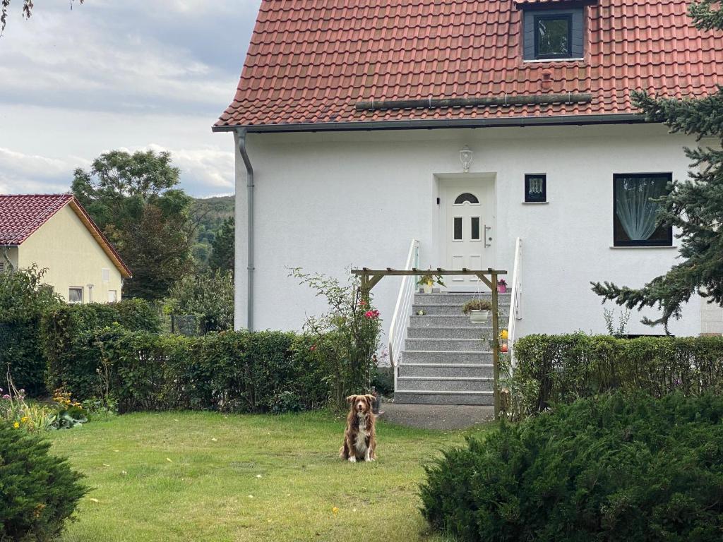 um cão parado na relva em frente a uma casa em Ferienhaus am Mühlgraben em Thale
