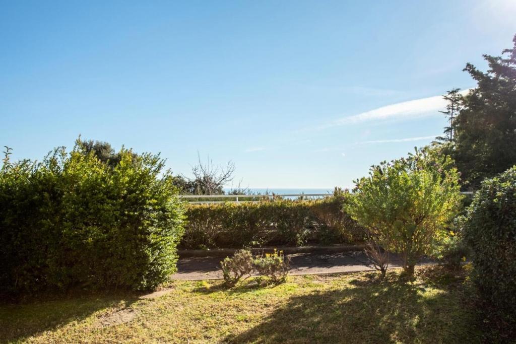 un jardin avec des buissons et des arbres par beau temps dans l'établissement Résidence Cannes Villa Francia - maeva Home - Appartement 3 Pièces 6 Personnes - Confort MAE-6059, à Cannes