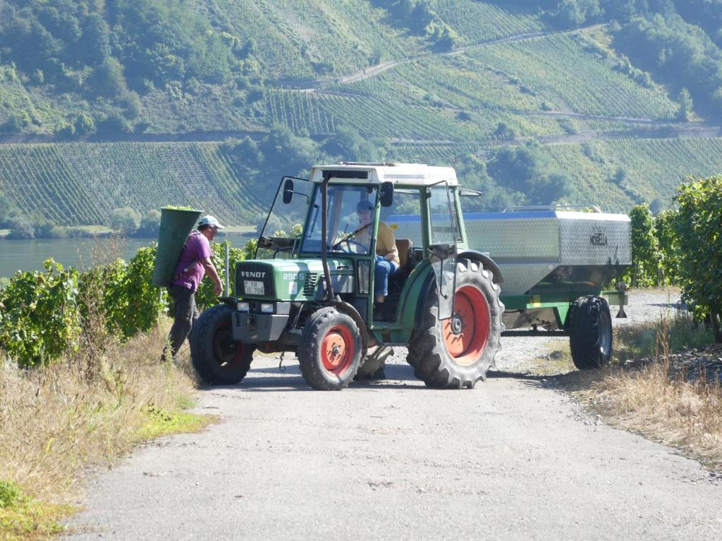 Příroda nedaleko ubytování na lodi