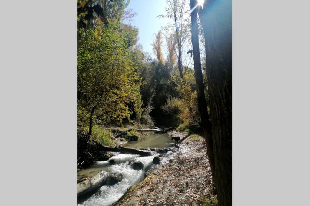 Příroda nedaleko apartmánu