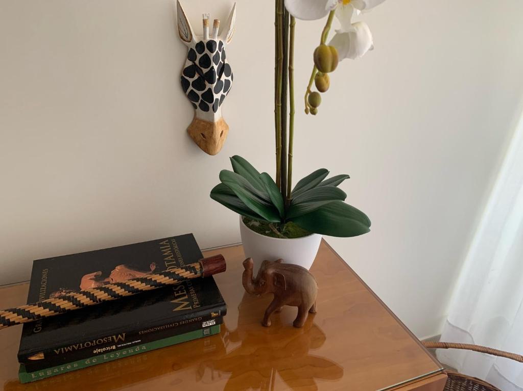 拉斯帕爾馬斯的住宿－Las Canteras Suite，桌子上放着书和盆栽植物