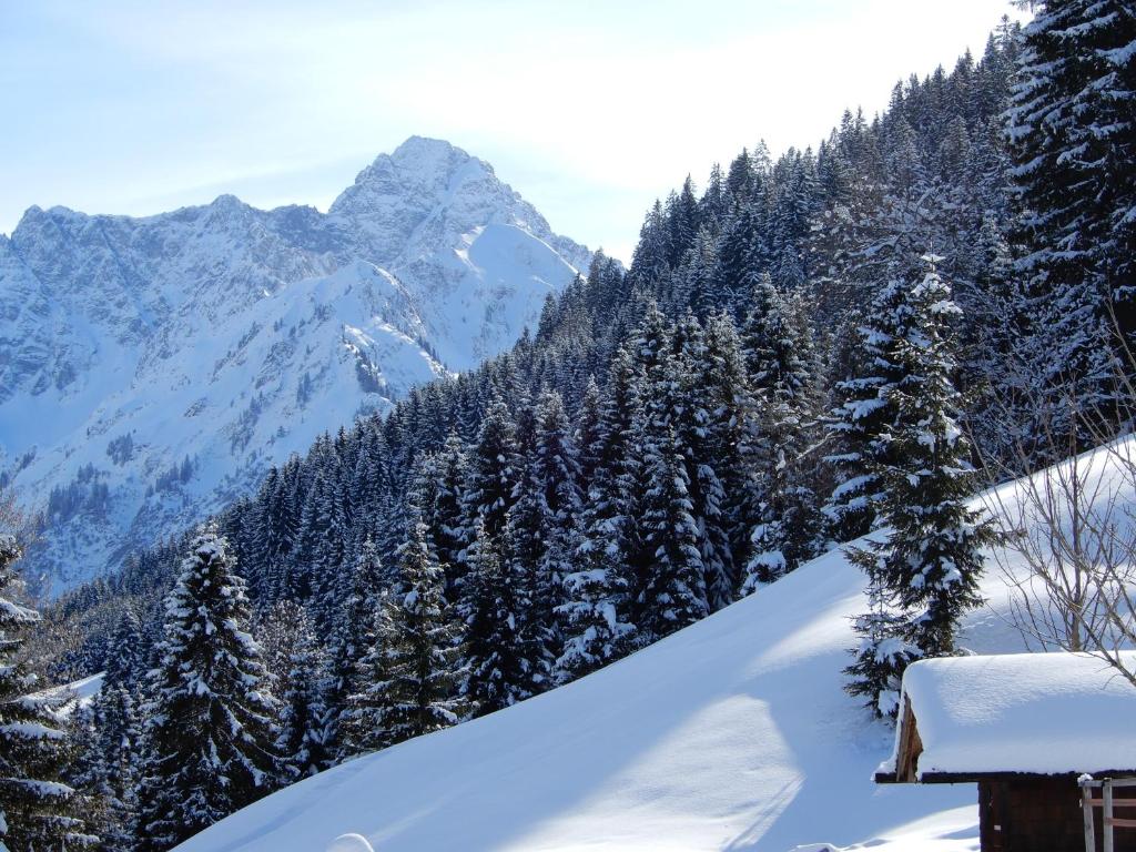 Aparthotel 333 mit Schwimmbad Kleinwalsertal v zime