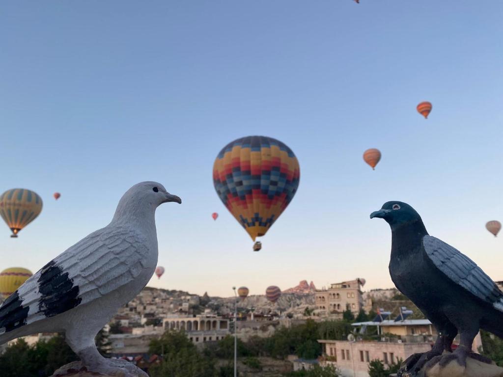 Fotografie z fotogalerie ubytování Cappadocia Kepez hotel v destinaci Göreme
