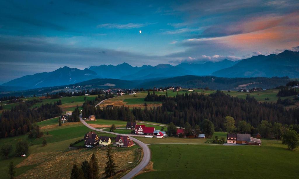 a winding road in a green field with mountains in the background at Willa Pasieka Apartamenty Domki in Bukowina Tatrzańska