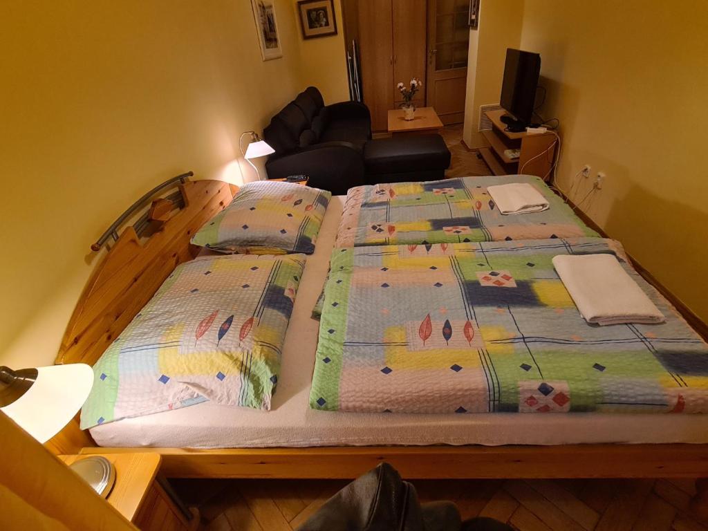 Łóżko lub łóżka w pokoju w obiekcie Apartment No. 12 Tržiště 29