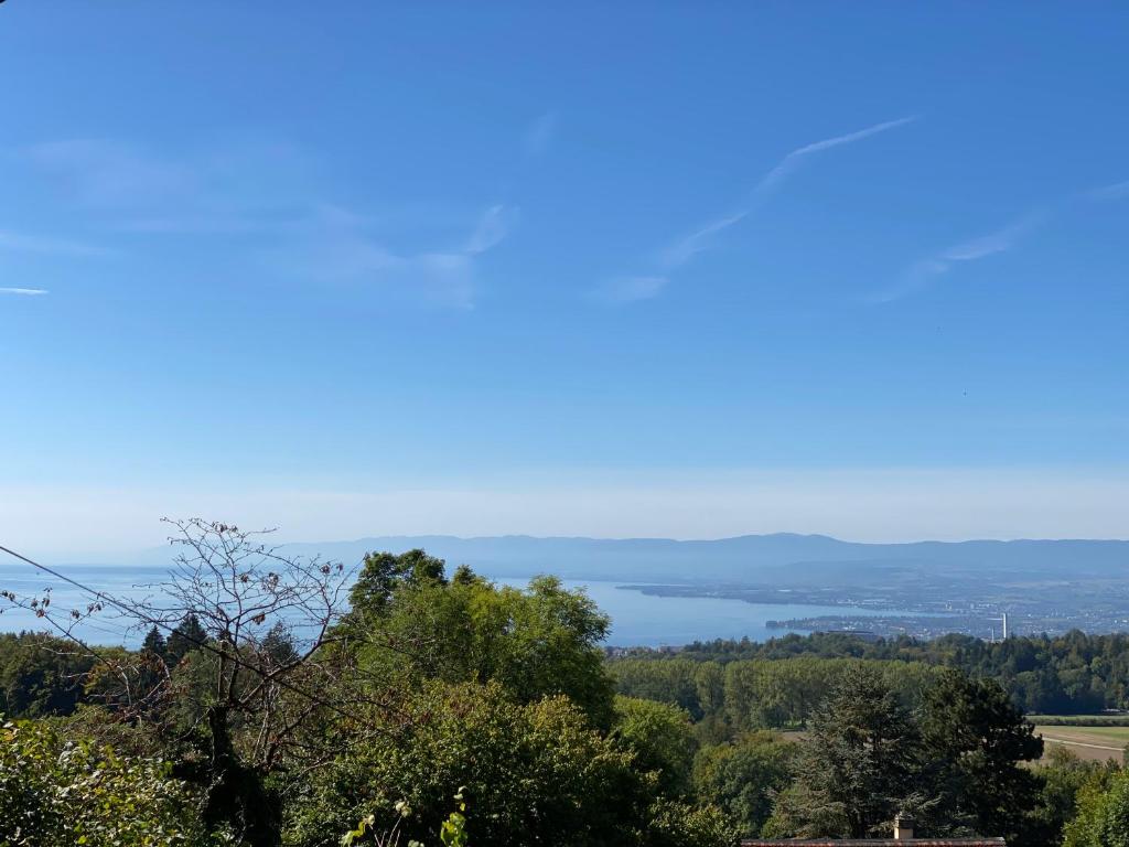 uitzicht op een meer in de verte bij Petite maison à l'orée des bois vue magnifique sur le lac zenitude et plénitude in Belmont-sur-Lausanne