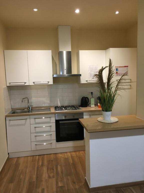 uma cozinha com armários brancos e uma planta num balcão em Casa Maka' em Olbia
