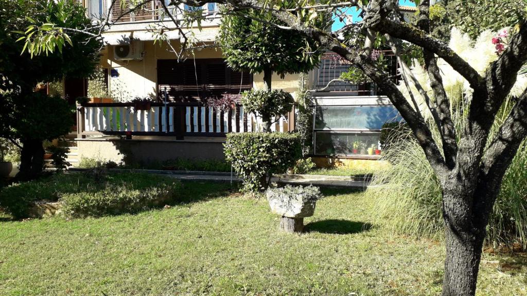 a house with a tree in the yard at Apartman Darja in Umag