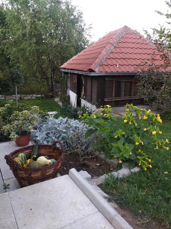 Zahrada ubytování Apartman Čivović