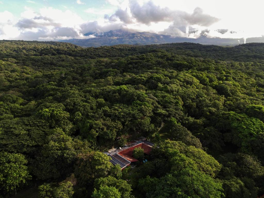 una vista aérea de un bosque con una casa en el medio en Casa Rural Aroma de Campo, en Curubandé