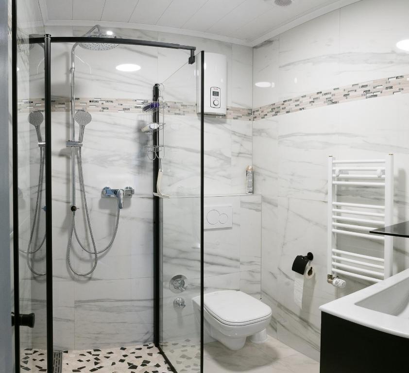 a bathroom with a shower with a toilet and a sink at Apartment in Innenstadtnähe in Darmstadt