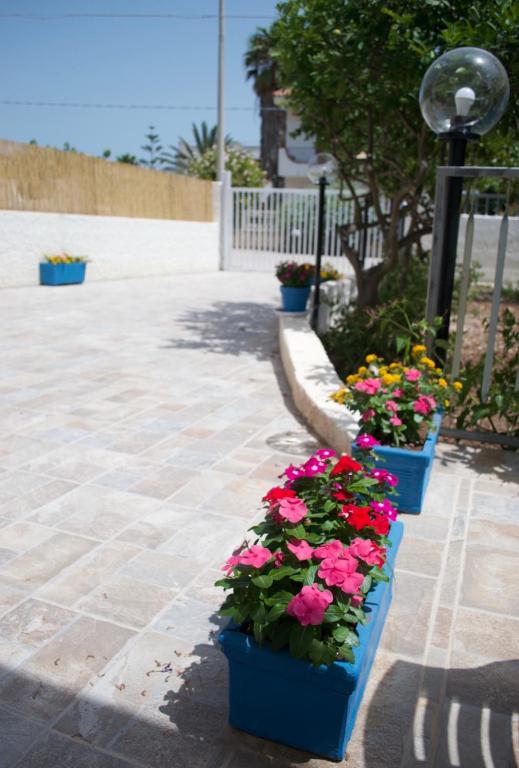 A garden outside Casa vacanze Almàsalo