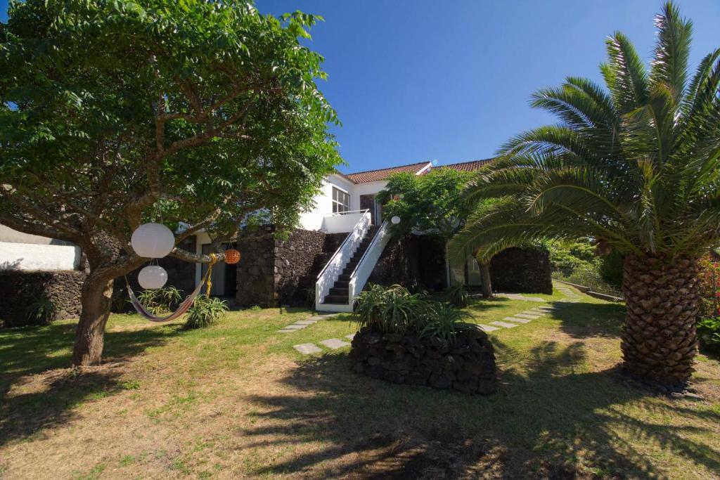 a house with a palm tree in the yard at epicenter PICO in Madalena