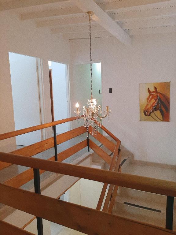 Fotografie z fotogalerie ubytování Cloud9 Hostel v destinaci Medellín