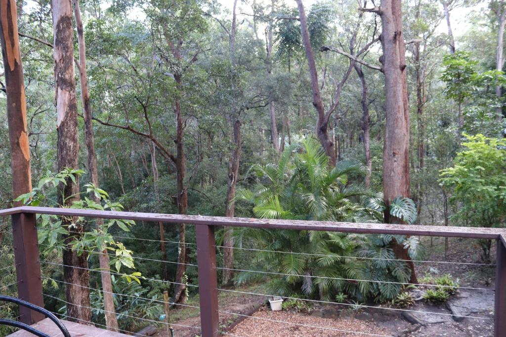 Zahrada ubytování GREEN TREES CHALET Australia Zoo close by