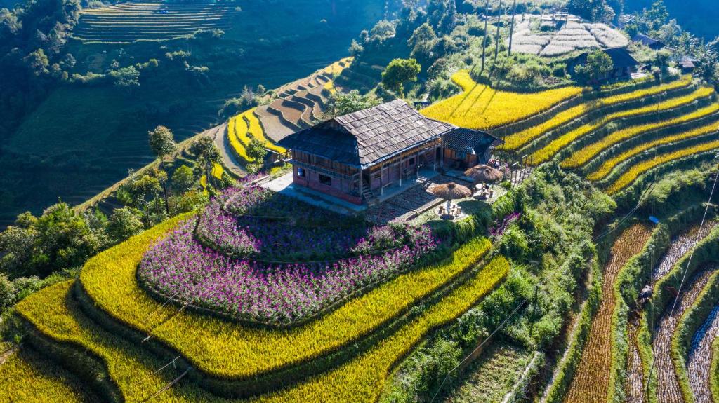 uma vista aérea de uma casa numa colina com flores em Mu Cang Chai Big view homestay em Sung Lu Chay