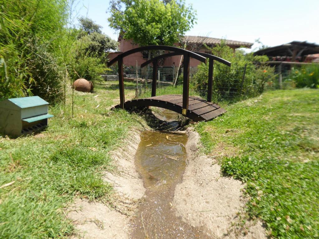 A garden outside El Rincón de los Patos 1