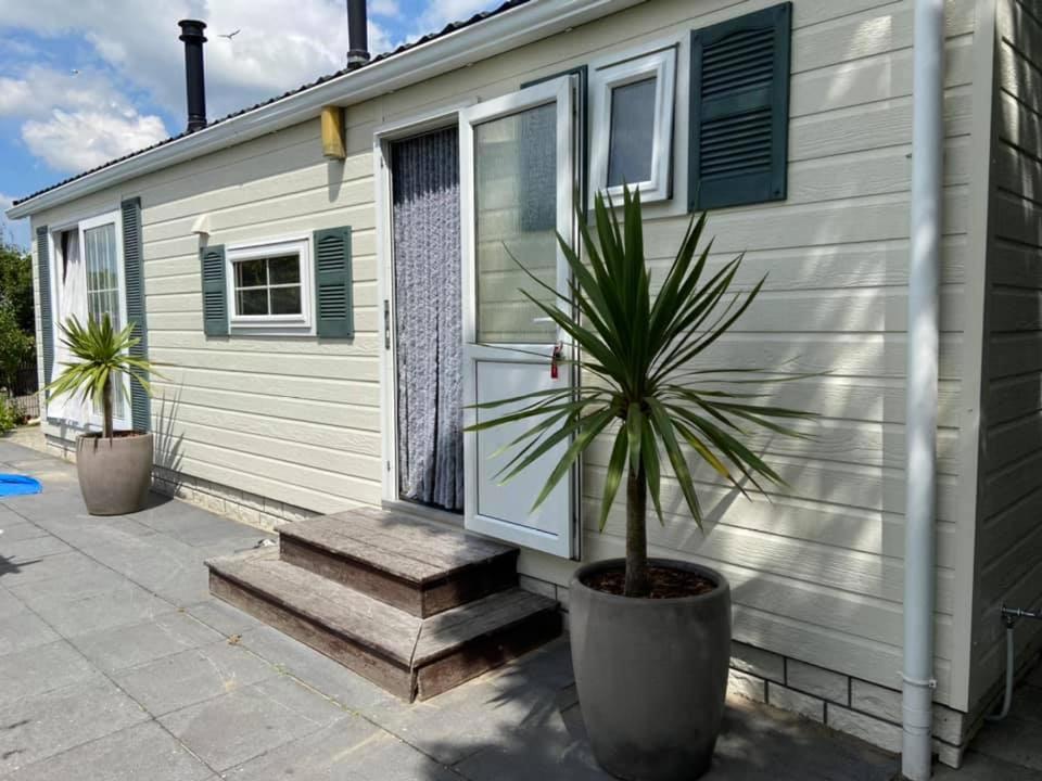 a house with a potted plant in front of it at Chalet 't zeeuwse genot in Baarland