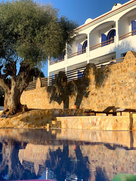 a building with a tree next to a body of water at Dmina House in Asilah