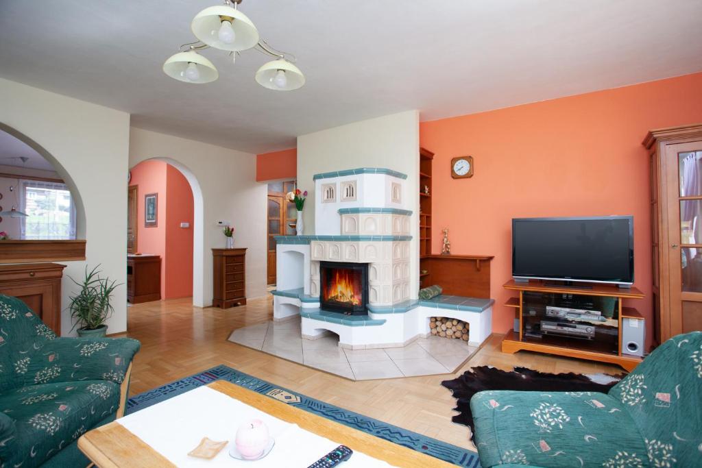 ein Wohnzimmer mit einem Kamin und einem TV in der Unterkunft Penzión Javor - apartmány in Ždiar