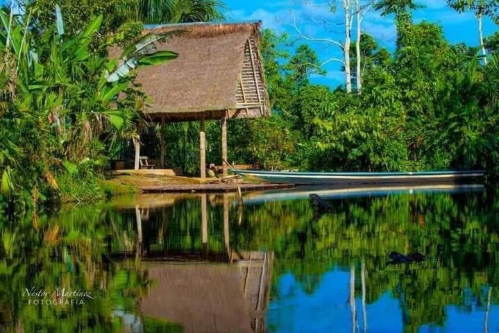 a house on the water with its reflection in the water at Misahualli Laguna Paikawe B&B in Puerto Misahuallí