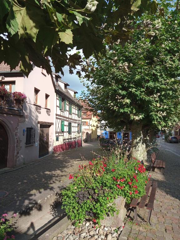 Gites Aux Fines Bulles d'Alsace – photo 12